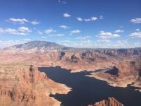 Amandine LAMRI - LAMRI