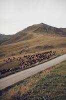 Damien LEMAIRE - DAMIEN LEMAIRE