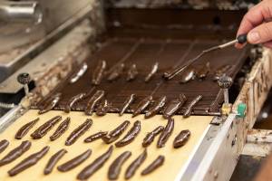 Julien SESIA - Julien-Sésia-Photographie©