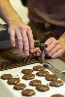 Julien SESIA - Julien-Sésia-Photographie©