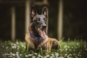 Jérémie MOLARO - F & F PHOTOGRAPHIE